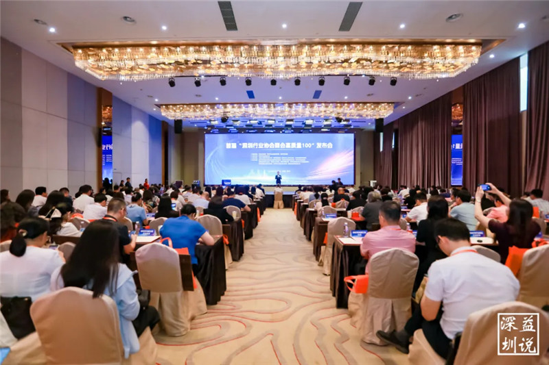 深圳社会组织第一阵容发布，深传仪协荣膺“深圳行业协会商会高质量100”