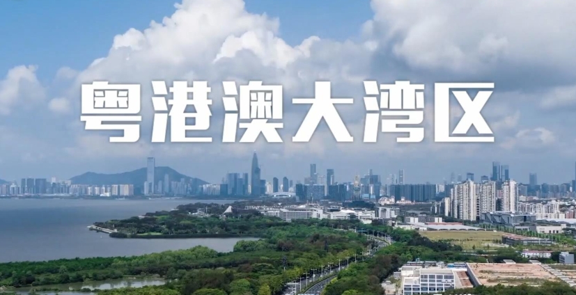 第二十三届“深圳企业创新纪录”及“2024粤港澳大湾区企业创新力榜单”项目征集启动公告